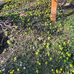 23-02-13 12-51-31 4188